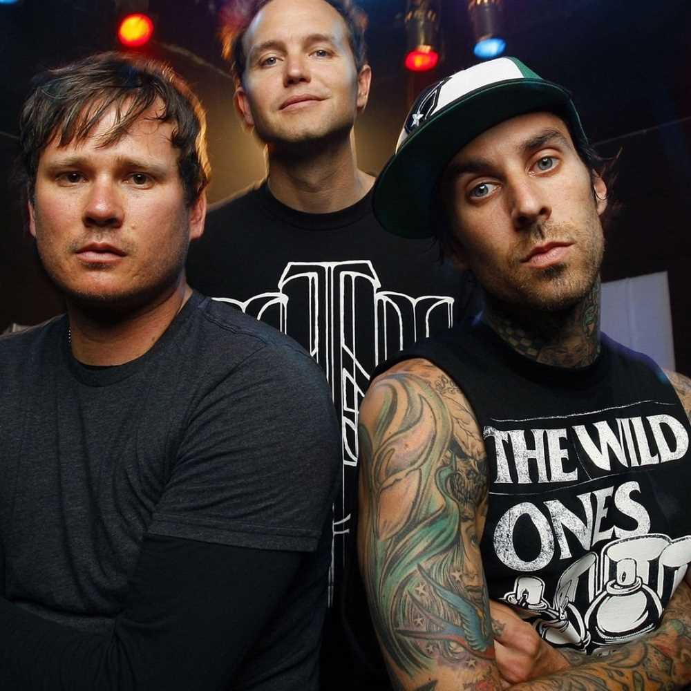 Blink-182, il batterista danneggiato da un errore medico