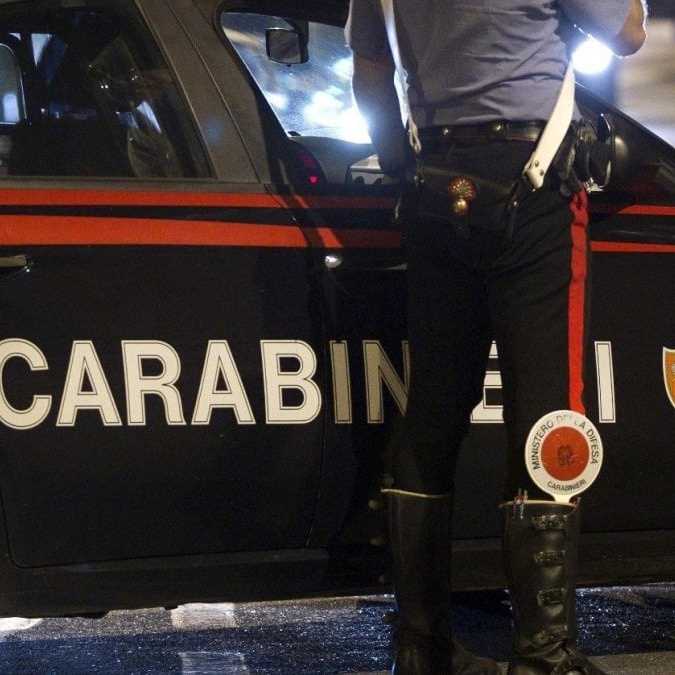 Cane provocò incidente, condannato il proprietario