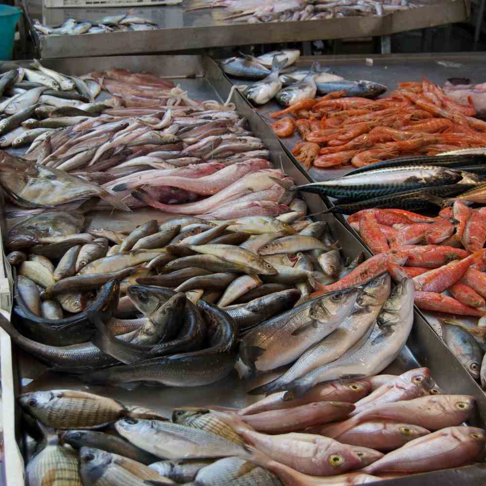 Il pesce di allevamento vale 288 milioni, la trota è superstar
