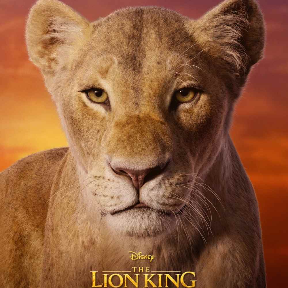 Il Re Leone, nel teaser per la prima volta la voce di Beyoncé