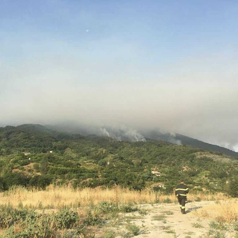 Incendi, emergenza nel Sud Italia