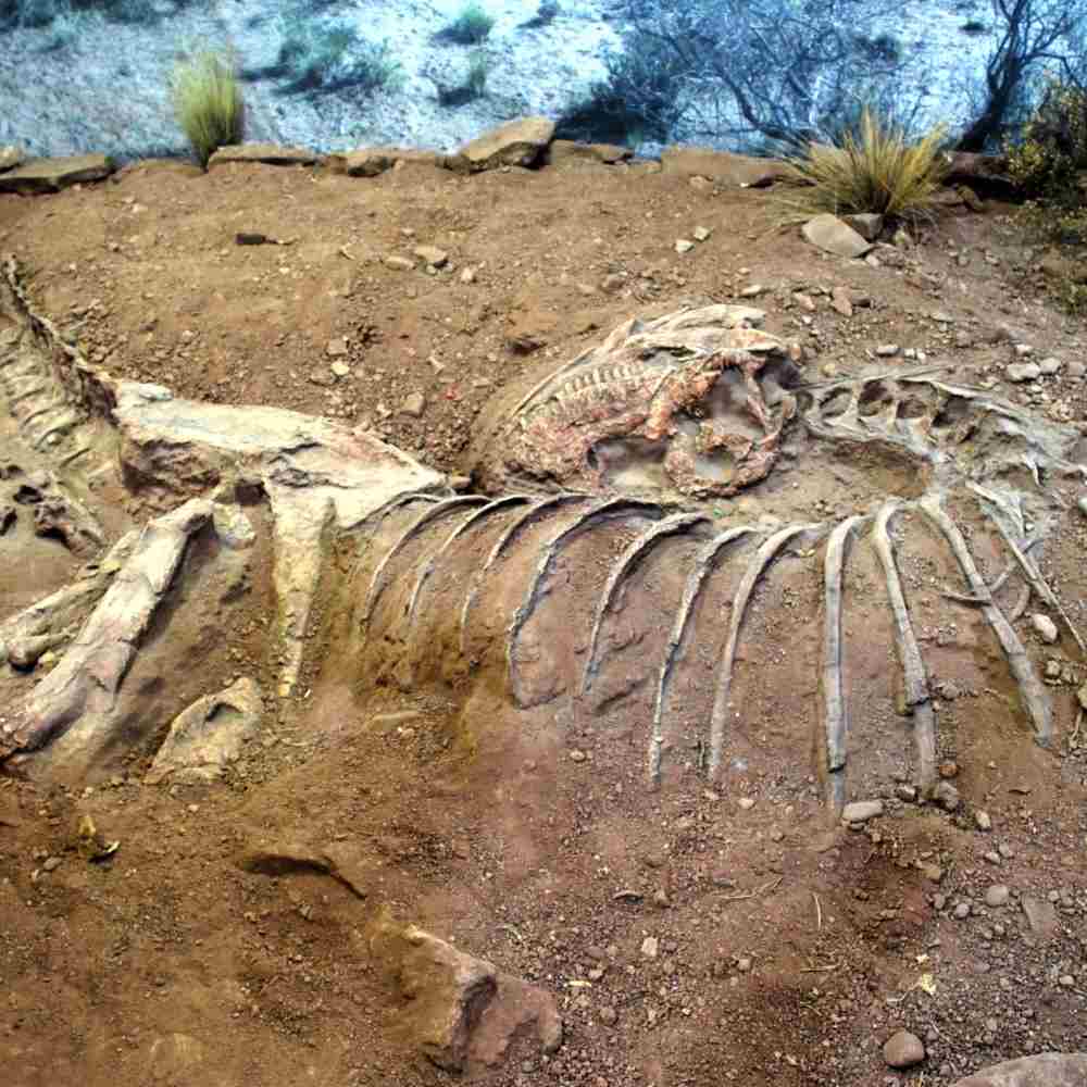 L'Italia è emersa prima ed era fatta di isole tropicali