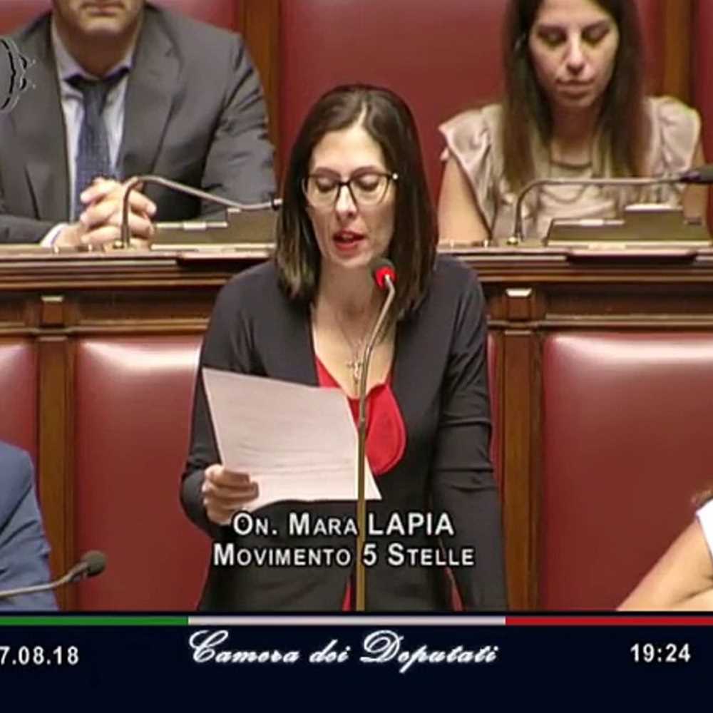 M5S, aggredita la deputata Lapia, costole rotte e contusioni
