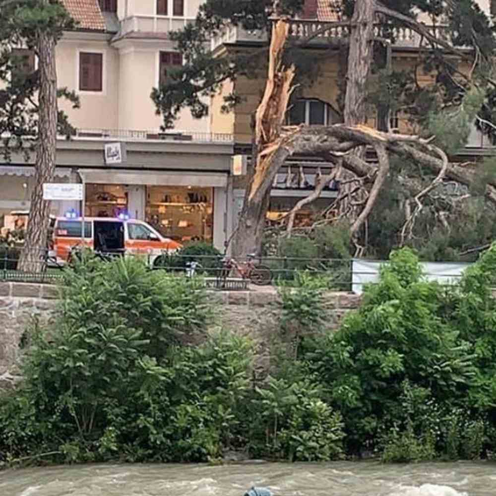 Merano, crolla albero, gravissimi mamma e figlio di tre anni