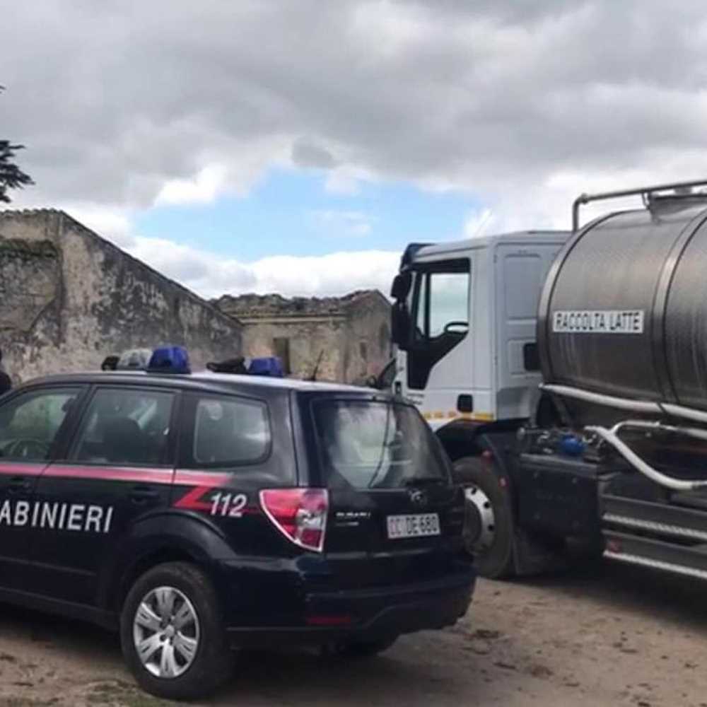 Sardegna, assalto armato ad autocisterna latte