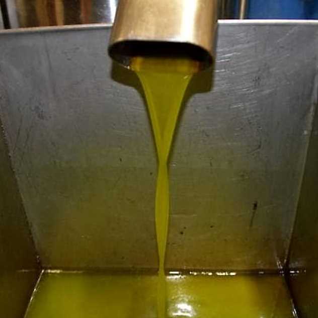 Trapani, rubati 300 litri di olio, erano destinati a Caritas
