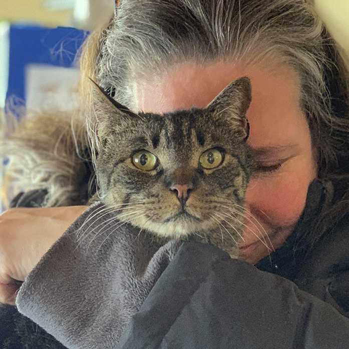 USA, gatto esce per una passeggiata e torna dopo sei anni