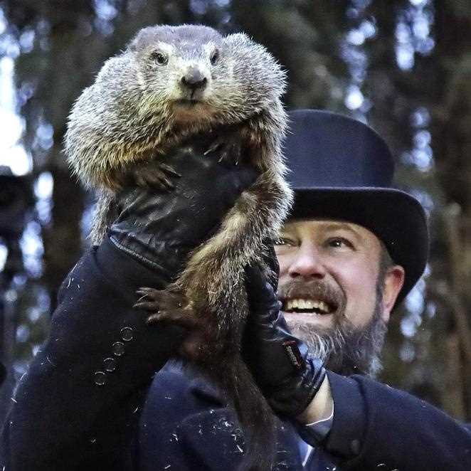 Usa, secondo la Marmotta Phil presto sarà primavera