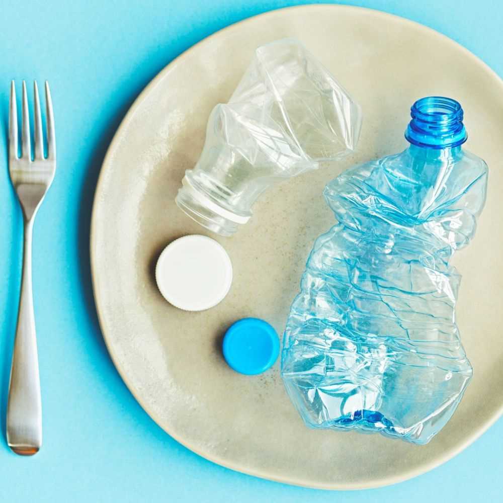 Wwf, ogni settimana mangiamo cinque grammi di plastica