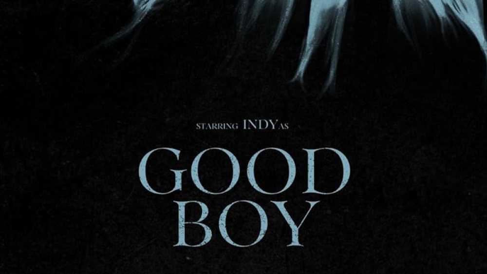 Alice nella città 2025, Good Boy: trama, curiosità d recensione del film d’apertura