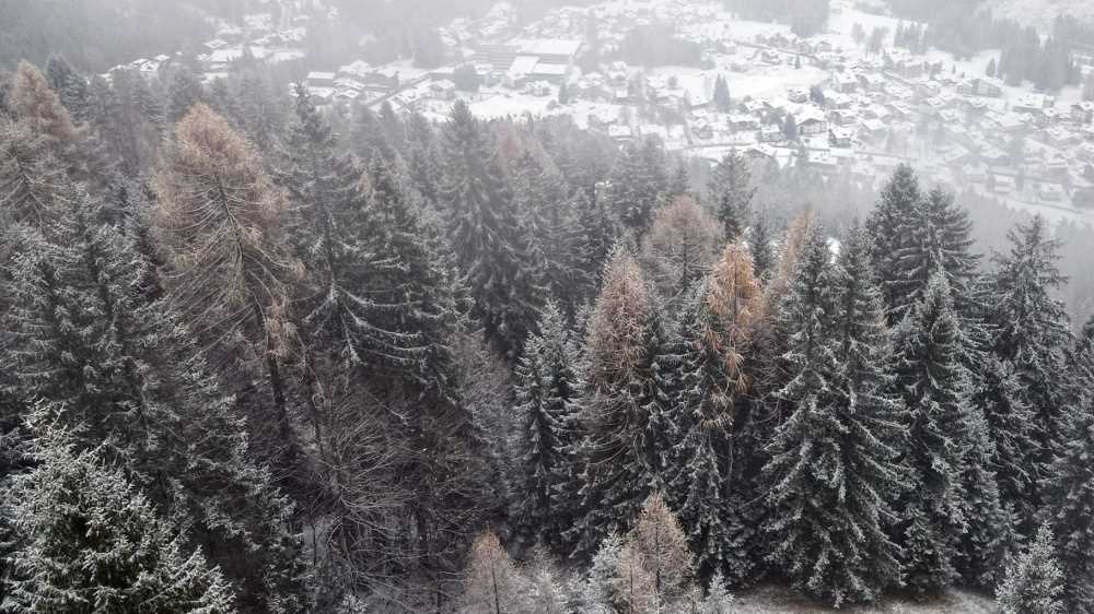 Arriva il freddo sull'Italia. Neve anche a bassa quota al Nord, bus scivola verso una scarpata nella Bergamasca