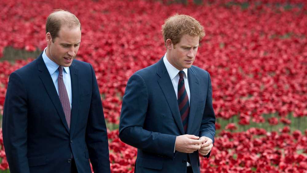 Arriva un nuovo libro sulla frattura Harry-William, in “Battle of the Brothers” si incolpa Meghan