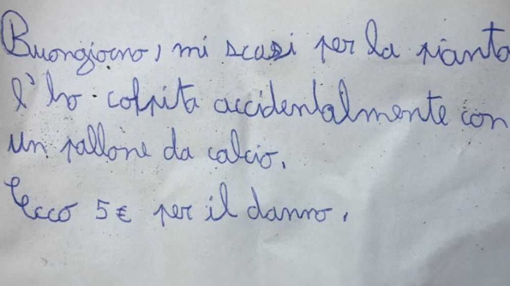 Bambino di 11 anni colpisce una pianta con un pallone, lascia un biglietto di scuse e 5 euro
