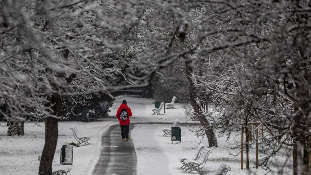 Belluno: undicenne sale sull'autobus con il bìglietto sbagliato, fatto scendere cammina per sei chilometri sotto la neve
