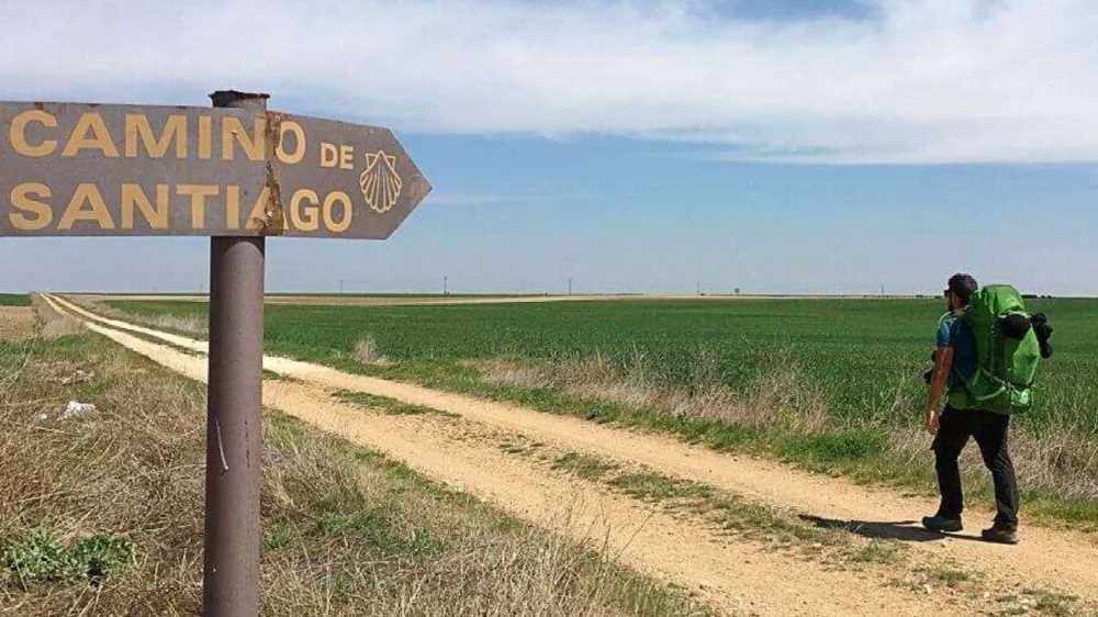 "Buen camino" travolge Google: arriva l'effetto Zalone nelle ricerche on line. Tutto quello che c'è da sapere sul viaggio...