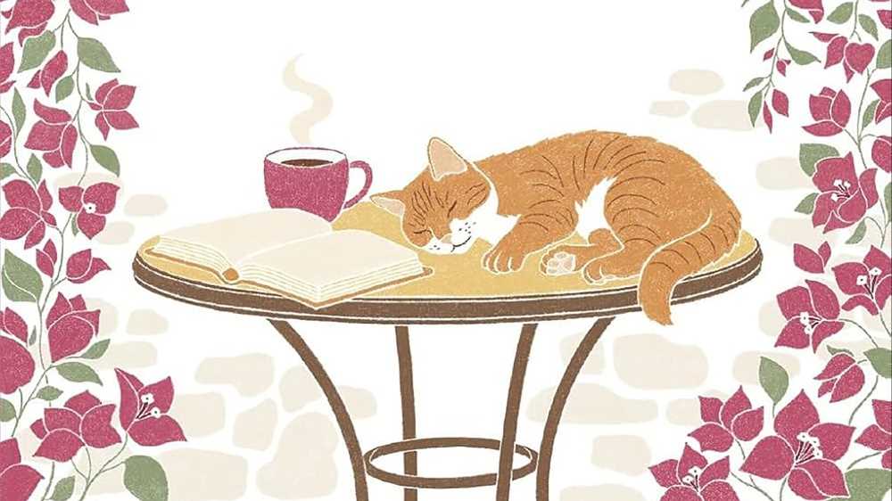 Camminando tra i fiori scalzi, un viaggio introspettivo tra i campi della Provenza: il commento di Nicola Pesce al suo nuovo romanzo