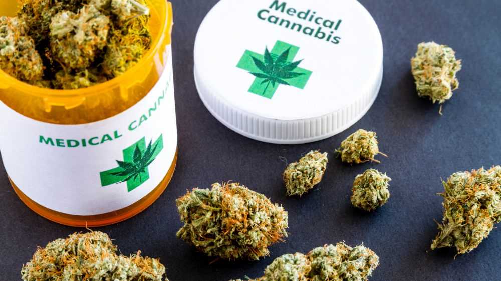 Cannabis terapeutica, farmaco gratis in Sicilia