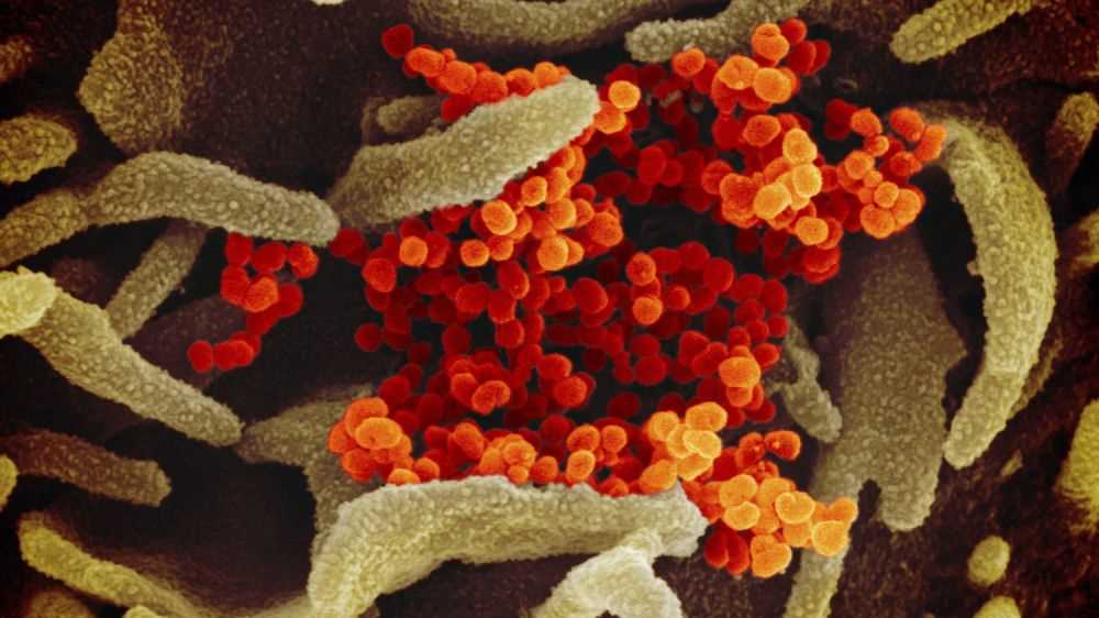 Coronavirus, pronta la mappa in 3D, utile ai farmaci e ad un vaccino