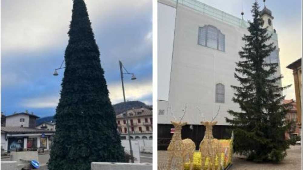 Cortina, l'albero di Natale di plastica fa arrabbiare gli ambientalisti: "Ridicolo"