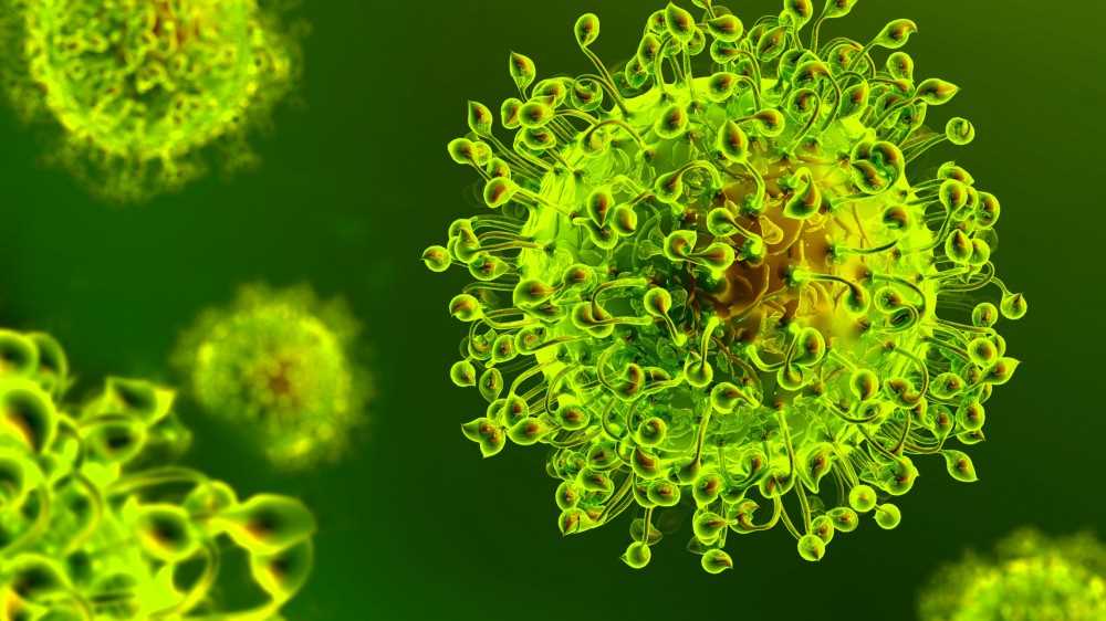 Covid, la maggior parte dei morti registrati oggi non era vaccinata, positiva una neonata a Vicenza
