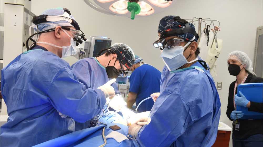 Cuore fermo da 20 minuti salva una vita, trapianto innovativo portato a termine in ospedale, a Bologna