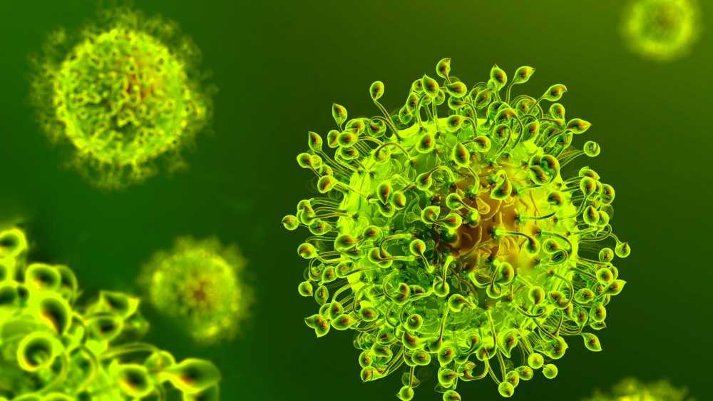 Emergenza coronavirus, cresce il numero dei positivi in Italia, stretta della Francia sugli ingressi nel Paese