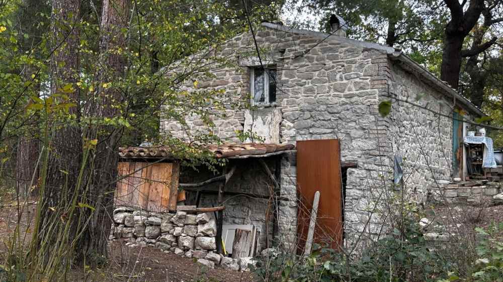 Famiglia nel bosco, il Natale nella casa famiglia. Disposta perizia psichiatrica per i genitori