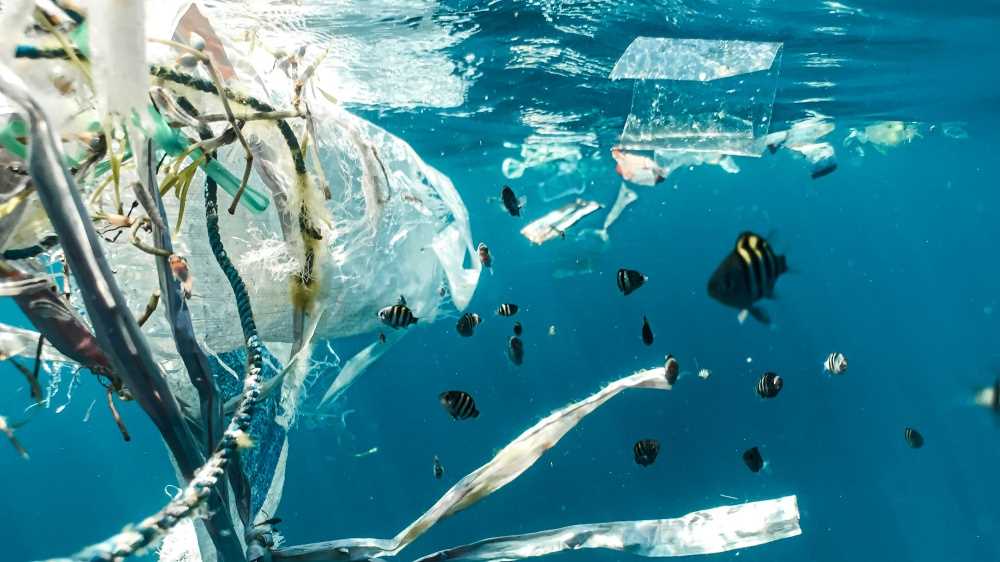 Giornata mondiale dell’ambiente: la plastica arriva nelle arterie