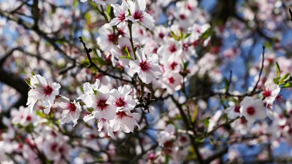 "I giorni della vecchia" dal 29 al 31 marzo: i tre giorni più freddi della primavera