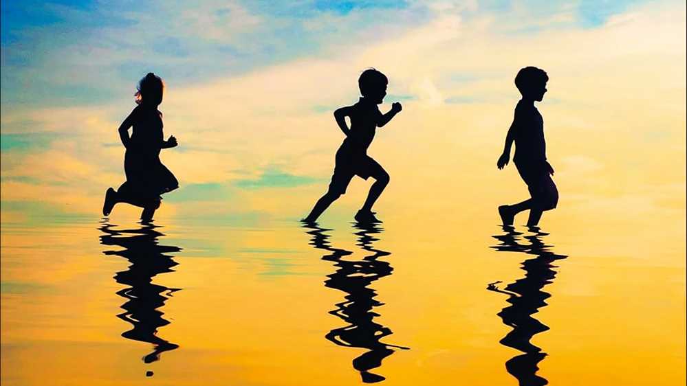 I libri da leggere della settimana, tra “Domanda numero 7”, “Skippy muore”, “Vita tra i selvaggi” e “Le stelle brillano più forte”