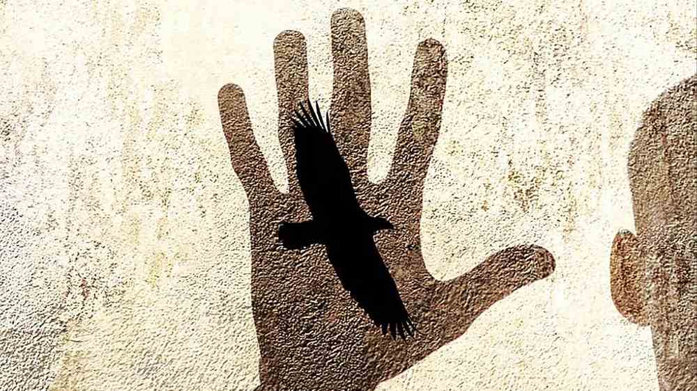 I libri da leggere della settimana, tra “L’isola del giorno prima”, “Quegli oscuri presagi”, “The Waterfall” e “Prigionieri”