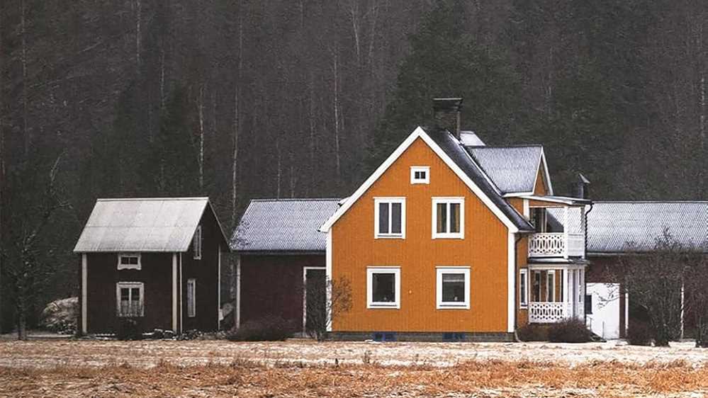 I libri da leggere della settimana, tra “L’ultima danza di Maradona”, “Osebol”, “L’ho uccisa perché l’amavo” e “Nel sangue di Garlasco”