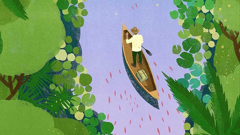 I migliori libri da leggere della settimana, tra “L’impronta del lupo”, “Il fantasma di Lumholtz”, “Le sorelle in giallo” e “Il giardino dei sogni splendenti”