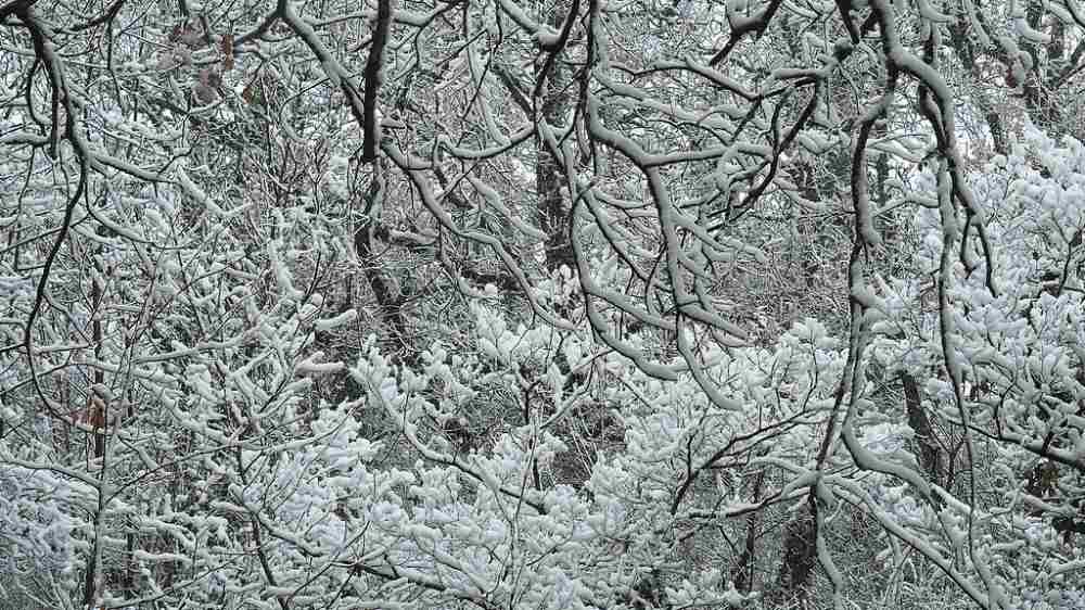 I primi fiocchi di neve sull'Italia