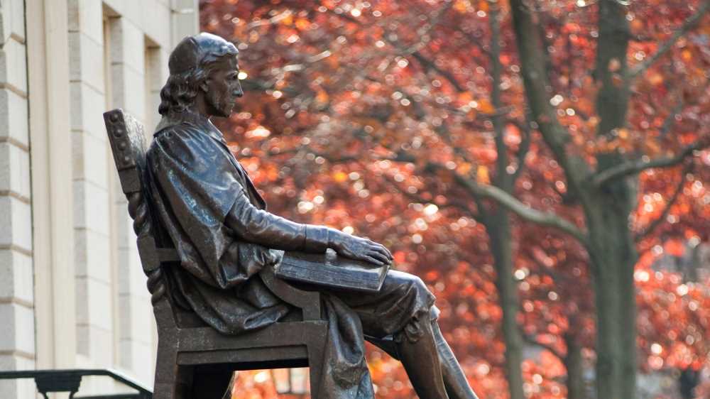 Premi IgNobel 2023, tra alici che fanno sesso e peli del naso, la scienza si fa irresistibile