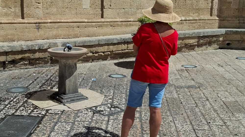 Il caldo non dà tregua, dall'idratazione ai farmaci, ecco alcune regole per proteggersi dall'afa