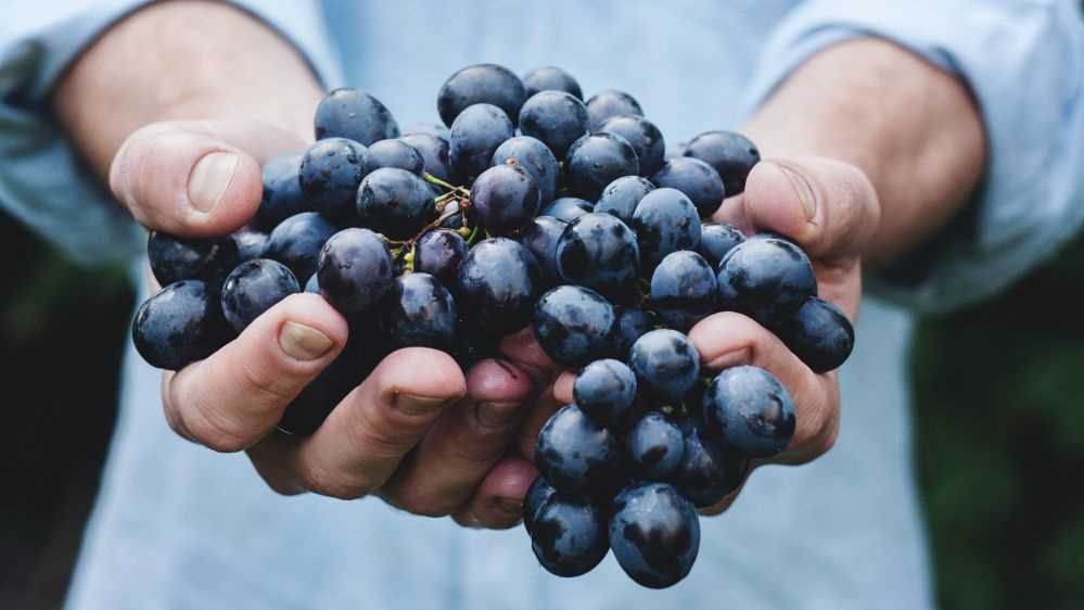 Il Covid-19 colpisce il vino, per la prima volta in trent'anni cala l'export, -4%