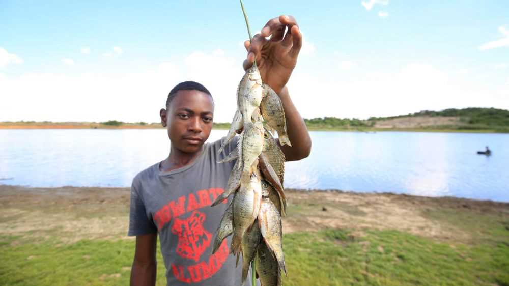 Il Nobel per la Pace assegnato al World Food Programme per la lotta contro la fame nel mondo