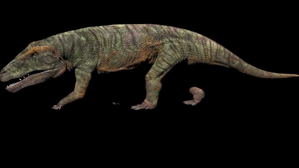 Impronte di antichi coccodrilli sono state ritrovate sulle Alpi, sono vissuti dopo la grande estinzione di massa