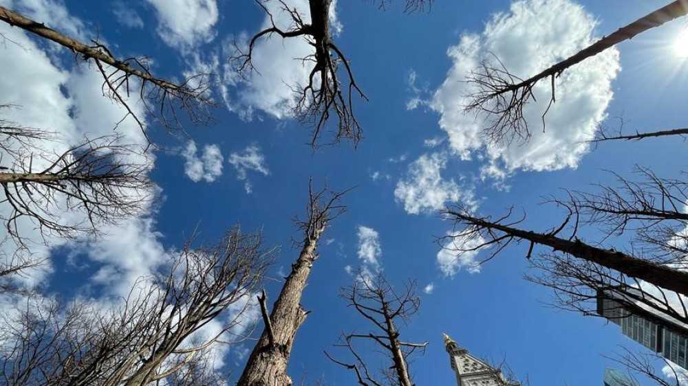 La distruzione della natura, tra le cause principali delle pandemie, ma i leader mondiali fingono di ignorare il problema