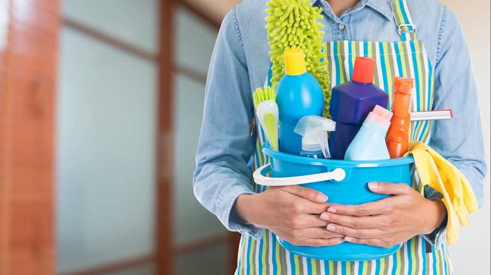 Lavoro, 2 milioni di lavoratori domestici, calano i regolari