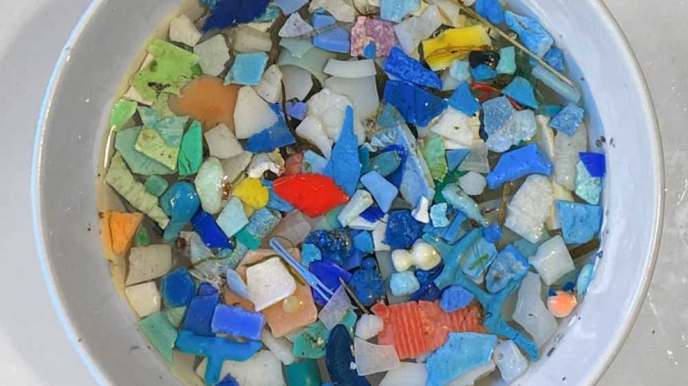 Le microplastiche invadono anche il corpo umano