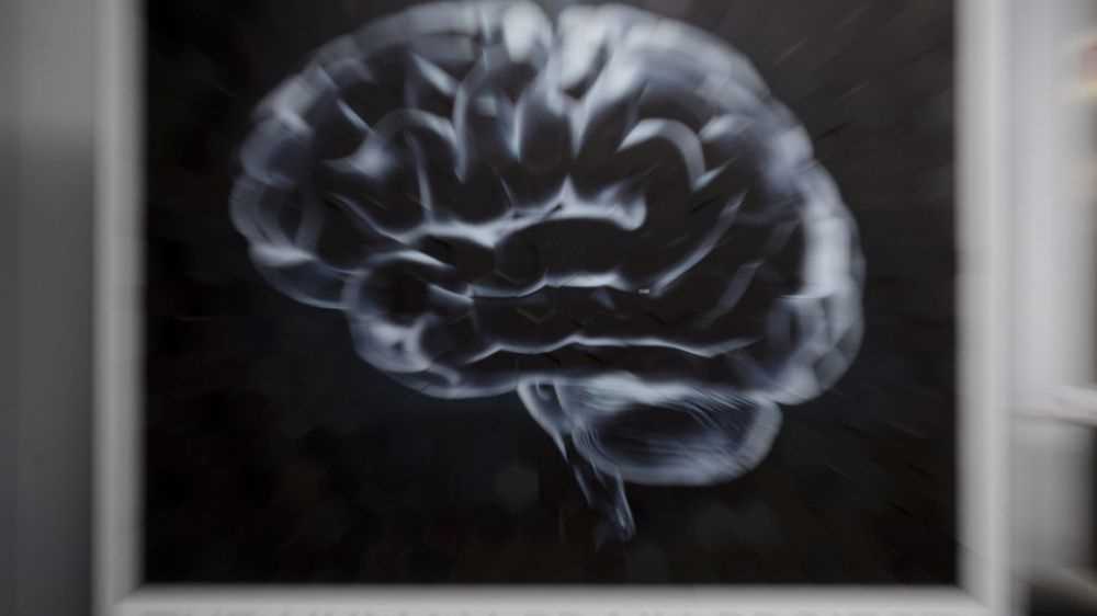 Nasce con metà cervello ma ha un'intelligenza sopra la media