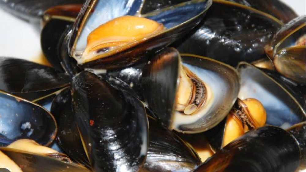 Nasce la "cozza realistica", ecco l'ultima trovata degli chef. Tutto quello che c'è da sapere