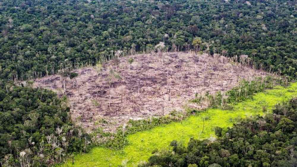 Oggi è la “Giornata delle foreste” le Nazioni Unite lanciano un appello per una gestione sostenibile