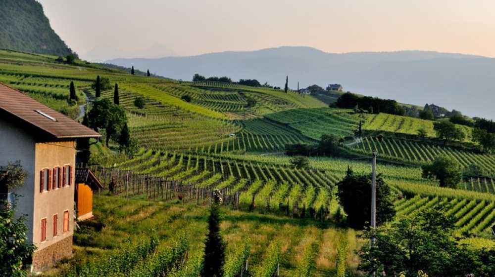 Oggi Primo maggio, molti gli italiani che festeggiano in agriturismo, lo sostiene Coldiretti