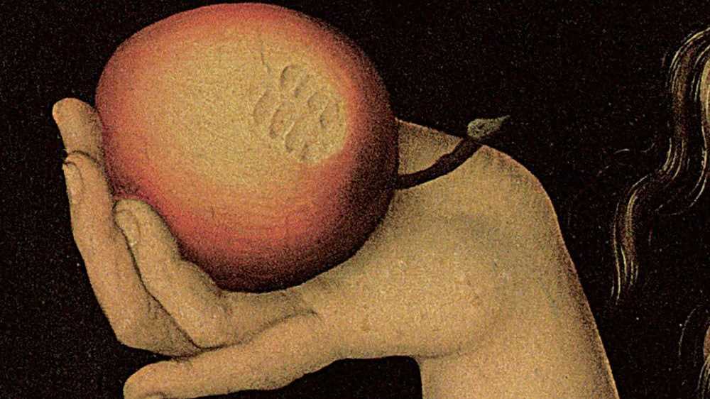 Primamà, il libro di Laura Pariani che racconta la storia dalle mille sfumature di Eva: ne abbiamo parlato con l’autrice