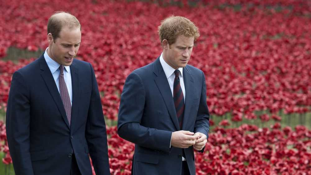 Principe William, io e mio fratello Harry ora siamo entità separate