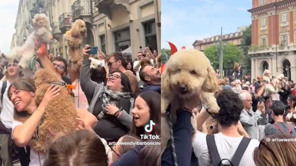 Quali sono gli animali domestici più diffusi? Ecco cosa dice l'ultimo studio