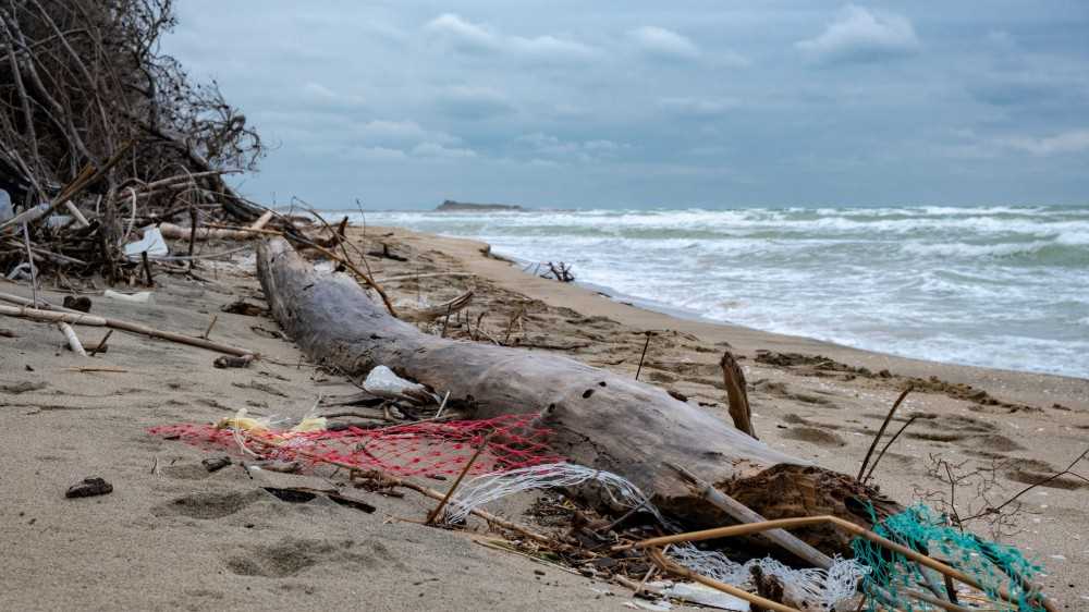 Quattordici arresti nel Gargano per disastro ambientale e combustione illecita di rifiuti